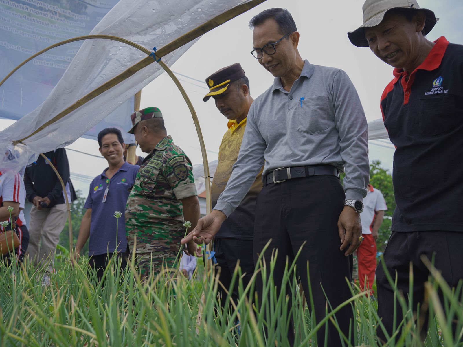 podiumnews.com-Dinas Pertanian Badung Panen Bawang Merah Hasil Demplot di Subak Sengempel